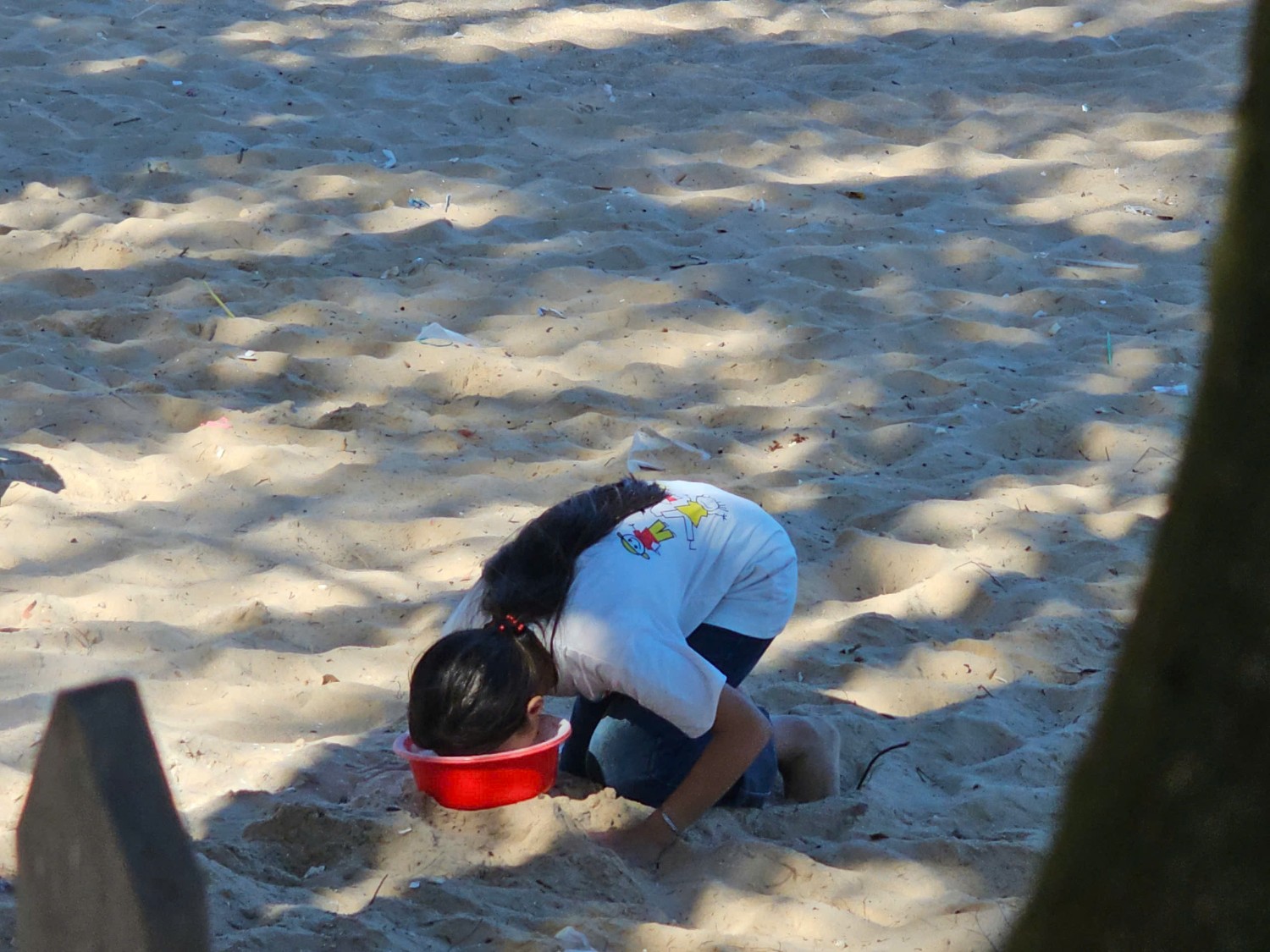 Sinh hoạt dã ngoại CLB Tiếng Anh 2024 - 2025