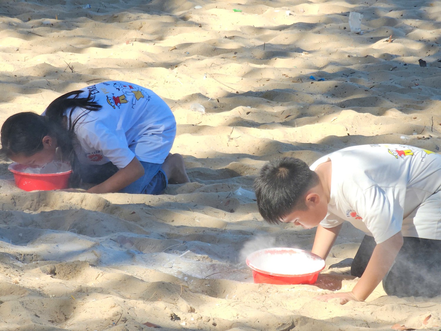 Sinh hoạt dã ngoại CLB Tiếng Anh 2024 - 2025