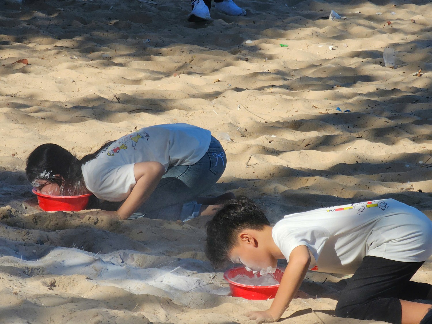 Sinh hoạt dã ngoại CLB Tiếng Anh 2024 - 2025