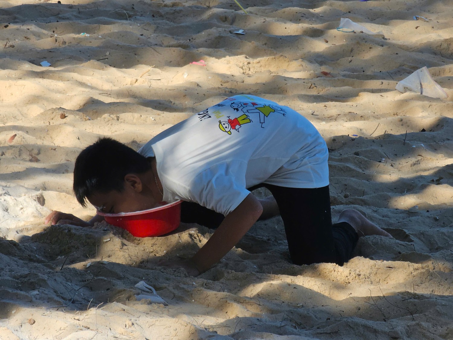 Sinh hoạt dã ngoại CLB Tiếng Anh 2024 - 2025