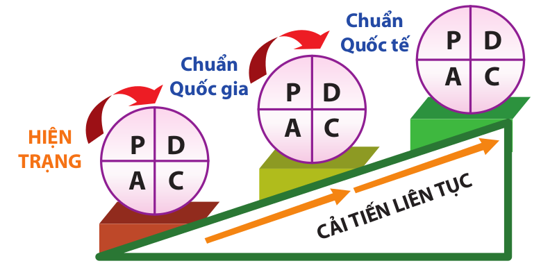 Kế hoạch cải tiến CLGD năm học 2023-2024